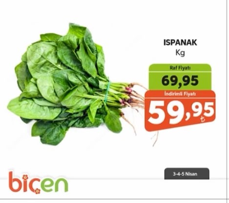 Ispanak Kg