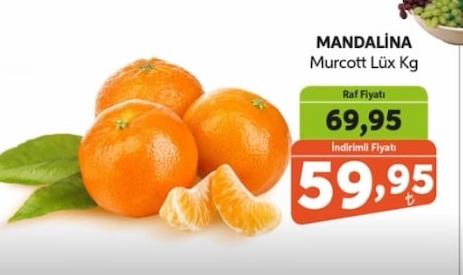 Mandalina Murcott Lüks Kg