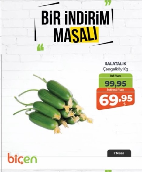 Salatalık Çengelköy Kg