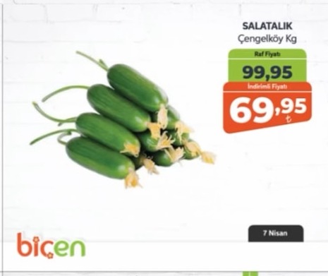 Bicen Salatalık Çengelköy Kg