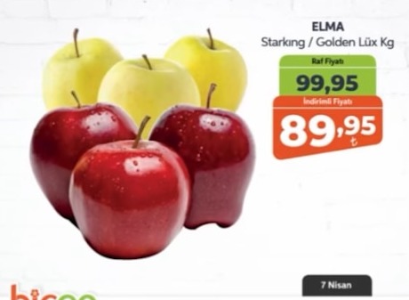 Elma Starking / Golden Lüx Kg