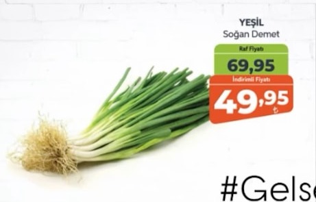 Yeşil Soğan Demet