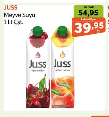 Juss Meyve Suyu 1 Lt Çşt.