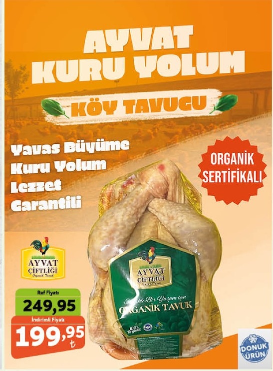 Ayvat Kuru Yolum Köy Tavuğu