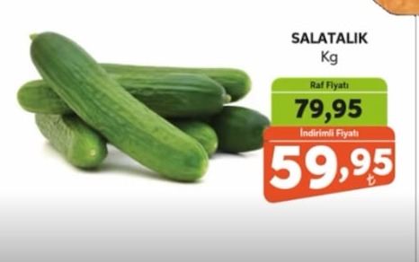 Salatalık Kg