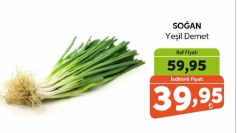 Soğan Yeşil Demet