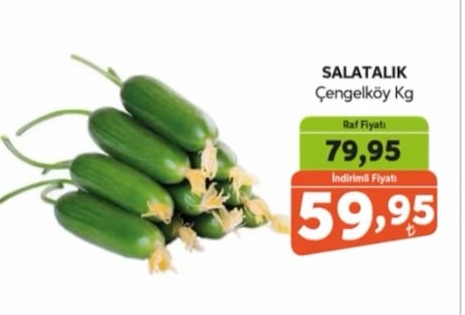 Salatalık Çengelköy Kg