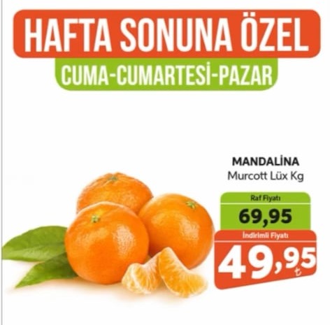 Mandalina Murcott Lüks Kg