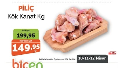 Pilic Kök Kanat Kg