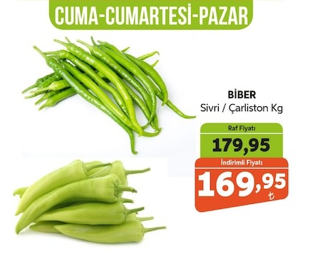 Biber Sivri / Charleston Kg