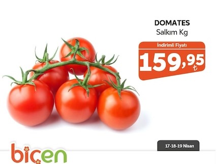 Domates Salkım Kg