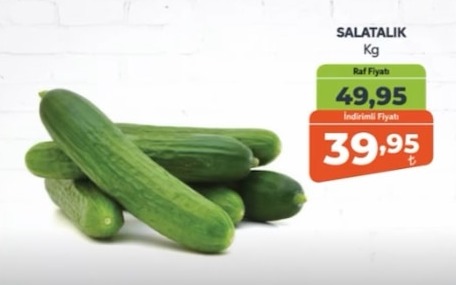 Salatalık Kg