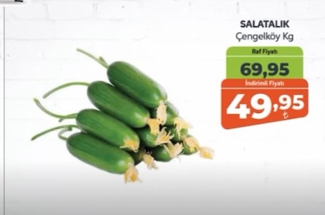Salatalık Çengelköy Kg