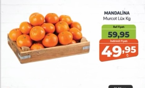 Mandalina Murcot Lüx Kg