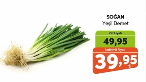 Soğan Yeşil Demet