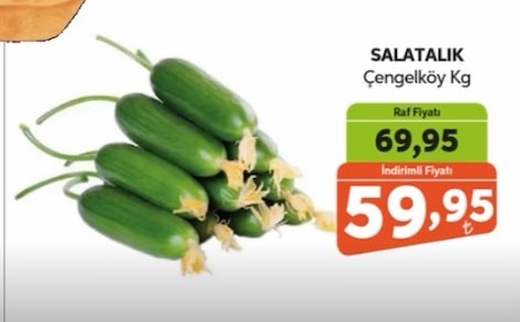 Salatalık Çengelköy Kg