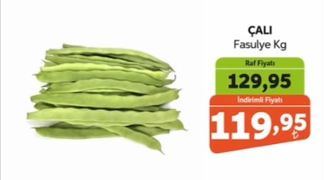 Çalı Fasulye Kg