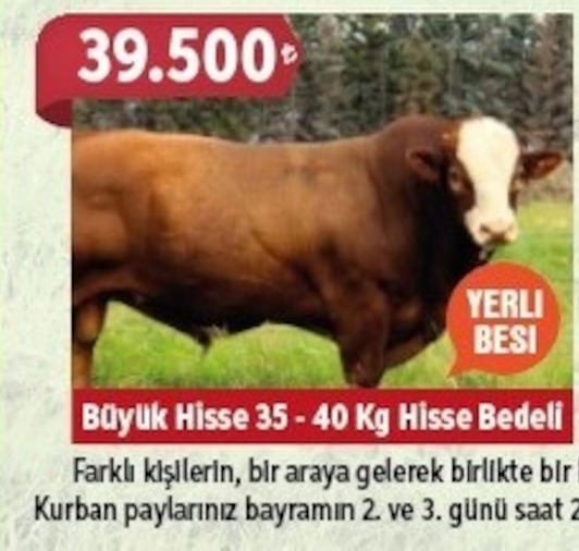 Büyük Hisse 35-40 Kg Hisse Bedeli