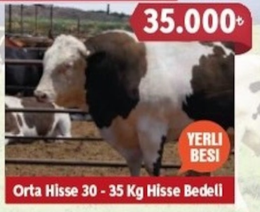 Orta Hisse 30-35 Kg Hisse Bedeli