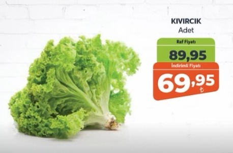 Kivircik Adet
