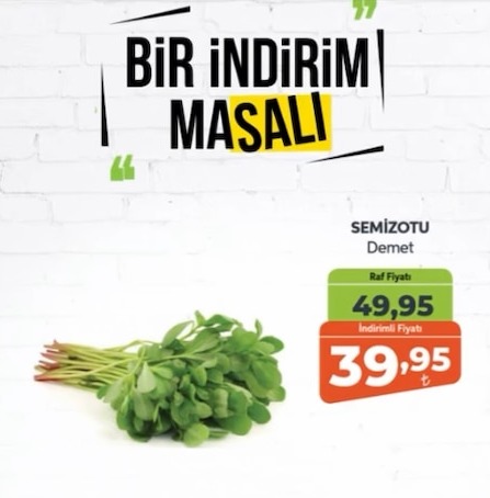 Semizotu Demet