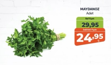 Maydanoz Adet
