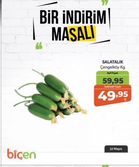 Salatalık Çengelköy Kg