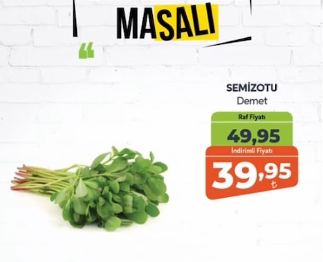 Semizotu Demet