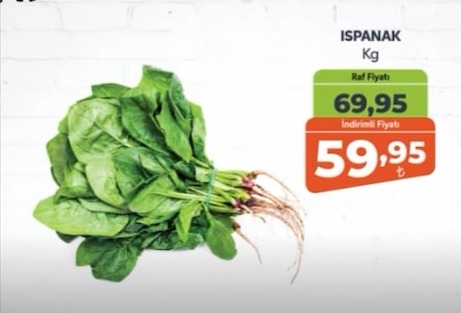 Ispanak Kg