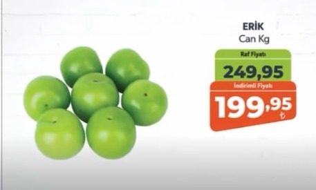 Erik Can Kg