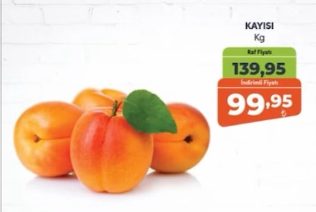 Kayisi Kg