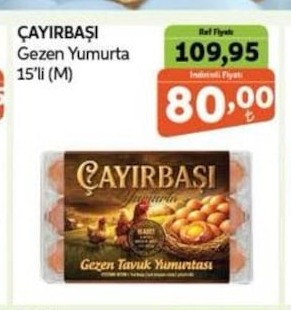 Çayırbaşı Gezen Yumurta 15'Li (M)