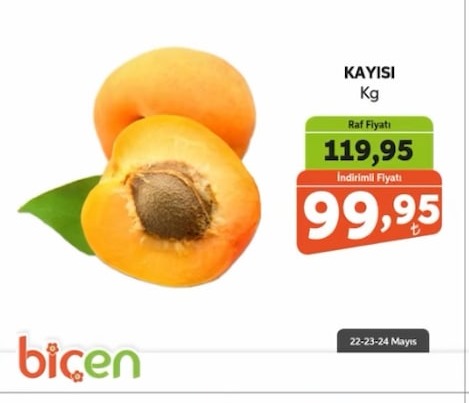 Kayısı Kg