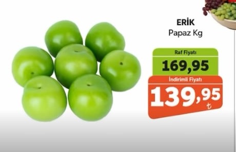Erik Papaz Kg