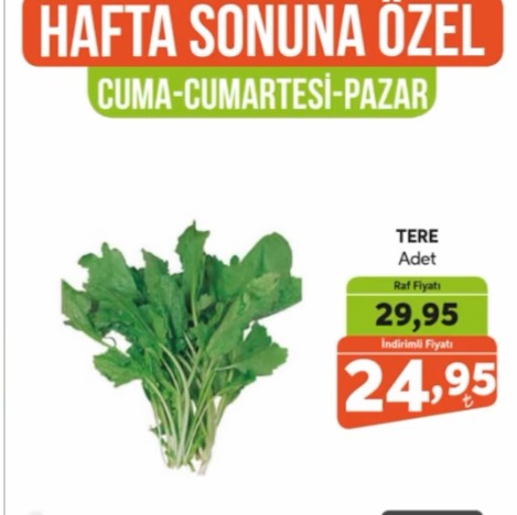 Tere Adet