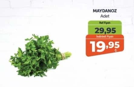 Maydanoz Adet