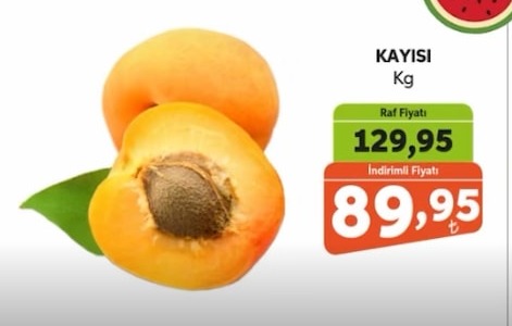 Kayisi Kg