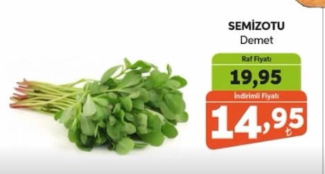 Semizotu Demet