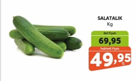 Salatalik Kg