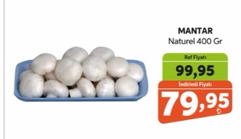 Mantar Naturel 400 Gr