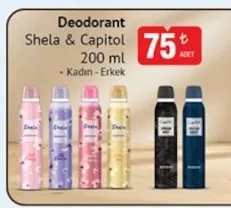 Sheila & Capitol Deodorant 200 Ml Kadın-Erkek
