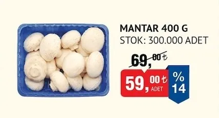 Mantar 400 G