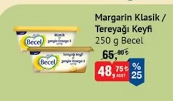 Margarin Klasik / Tereyağı Keyfi 250 G Becel