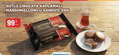 Sütlü Çi̇Kolata Kaplamali Marshmallowlu Sandvi̇Ç Kek Luppo 14X23 G