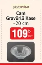 Colorina Cam Gravürlü Kase ~20 Cm