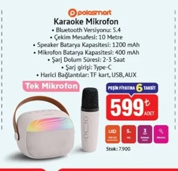 Polosmart Karaoke Mikrofon