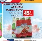 Karlıtepe Karpuz Çilek Aromalı Maden Suyu 6X200 Ml