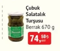 Çubuk Salatalık Turşusu Berrak 670 G