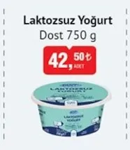 Laktozsuz Yoğurt Dost 750 G
