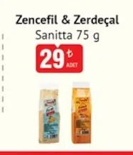 Zencefil & Zerdeçal Sanitta 75 G